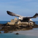 2009-09-dinard-OK (32)
